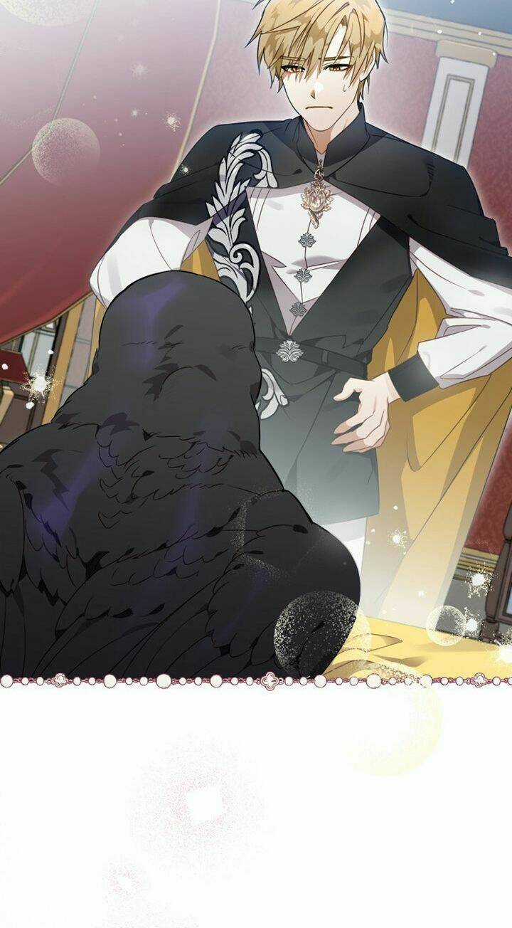 Bỗng Nhiên Tôi Trở Thành Quạ Đen!! Chapter 9 trang 13