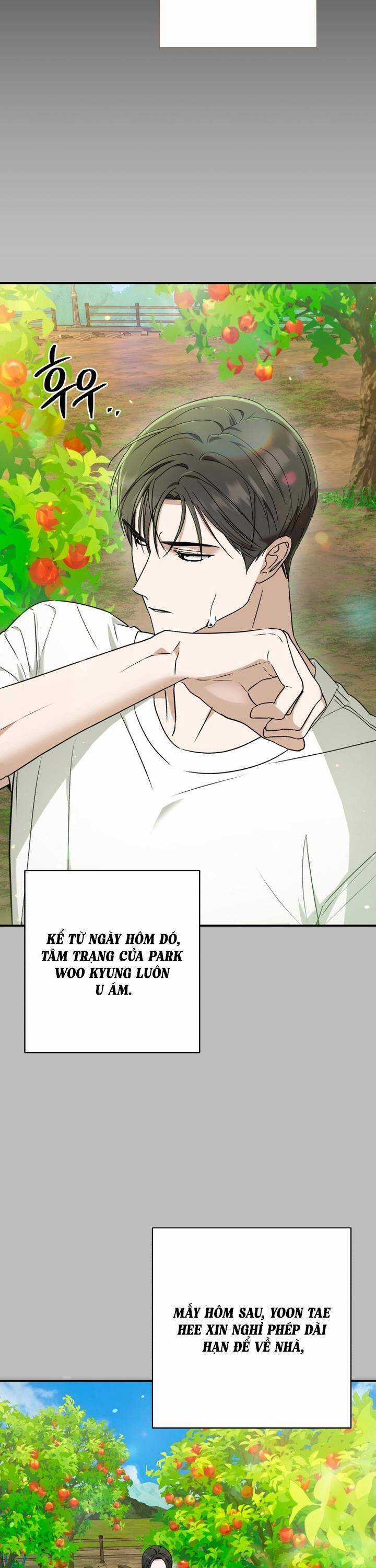 Bóng Râm Mùa Xuân Chapter 19 trang 19