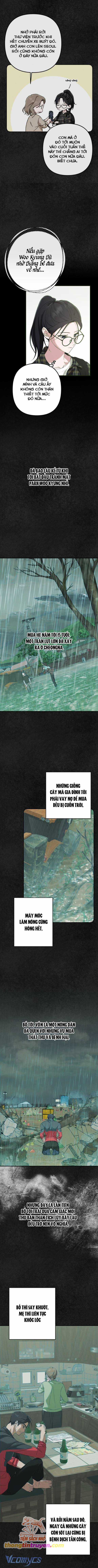 Bóng Râm Mùa Xuân Chapter 8 trang 2