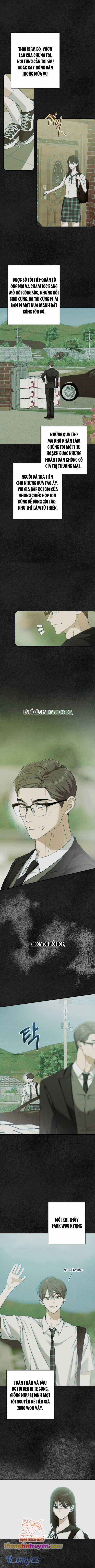 Bóng Râm Mùa Xuân Chapter 8 trang 3