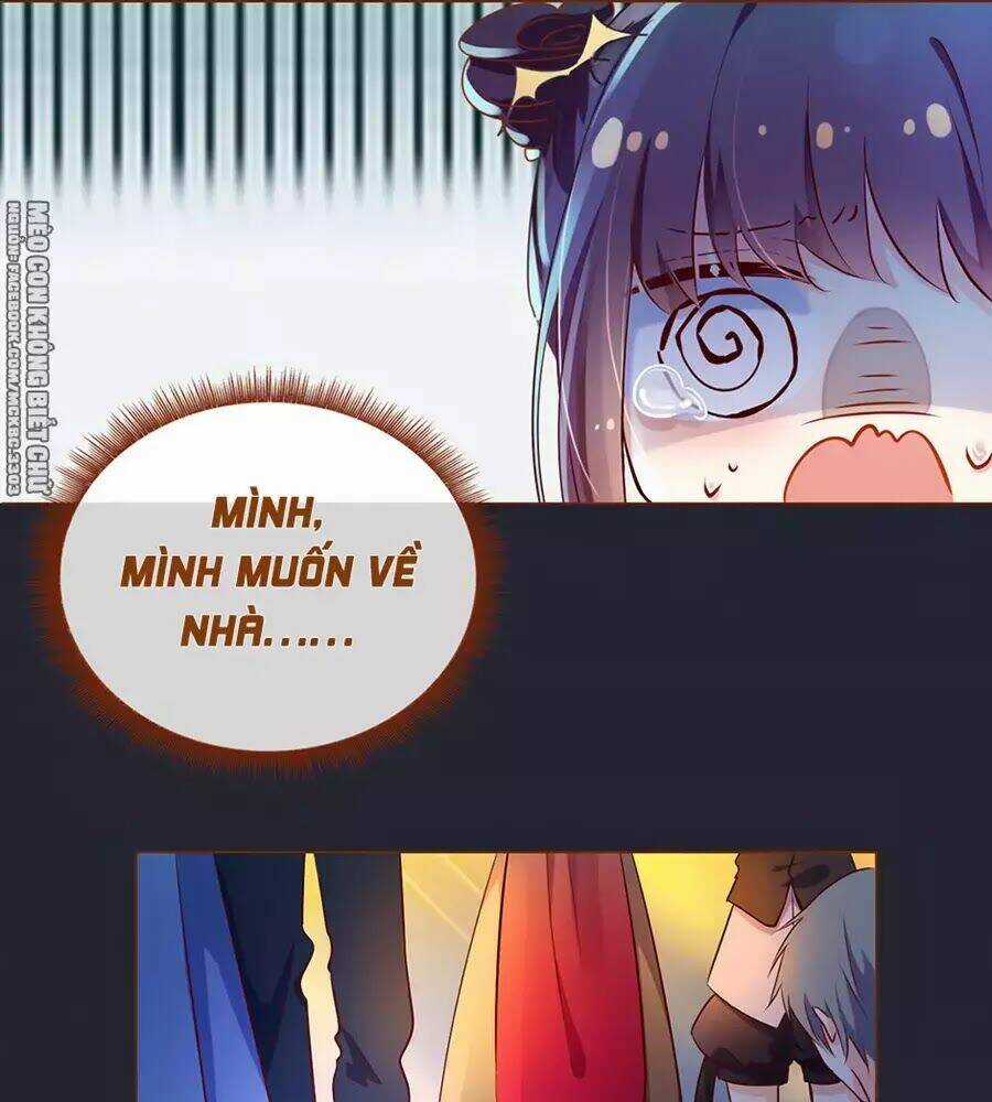 Boss Khủng Bố Chiếm Đoạt Ta Chapter 1 trang 23