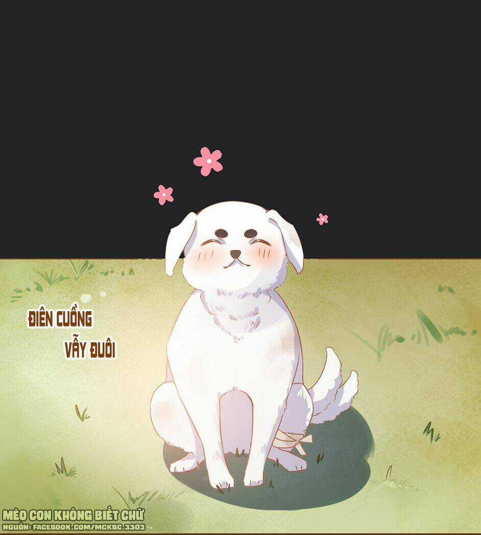 Boss Khủng Bố Chiếm Đoạt Ta Chapter 2 trang 23