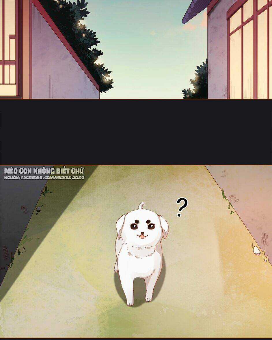 Boss Khủng Bố Chiếm Đoạt Ta Chapter 3 trang 5