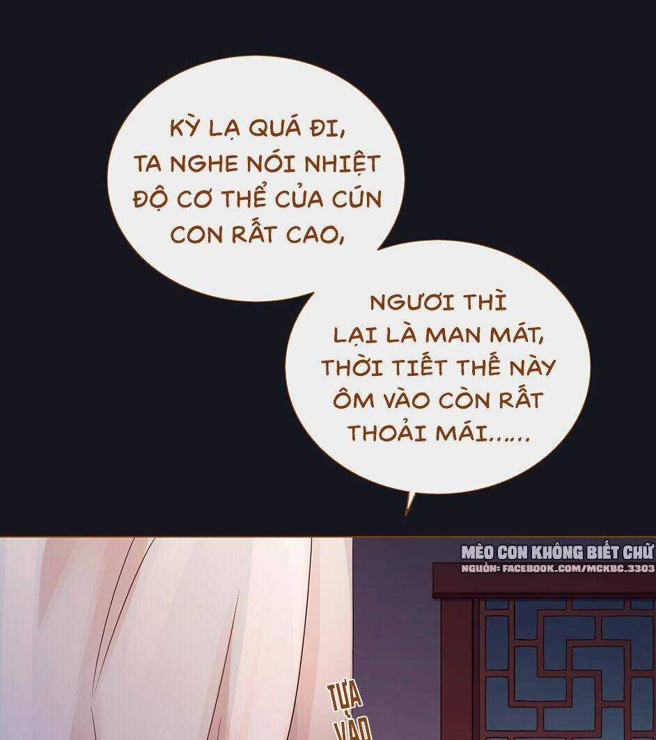 Boss Khủng Bố Chiếm Đoạt Ta Chapter 6 trang 14