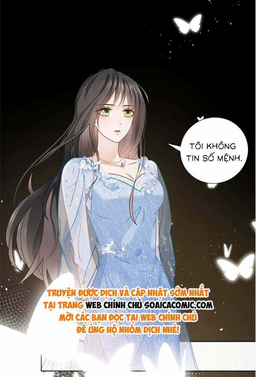 Boss Sát Thủ Dưỡng Hồ Yêu Chapter 113 trang 21