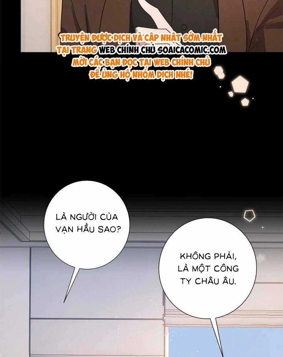 Boss Sát Thủ Dưỡng Hồ Yêu Chapter 122 trang 14