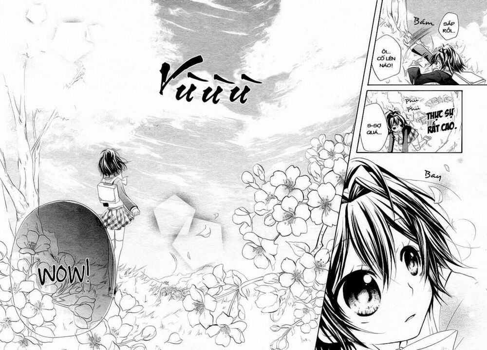 Boyfriend - Namorado Chapter 1 trang 8