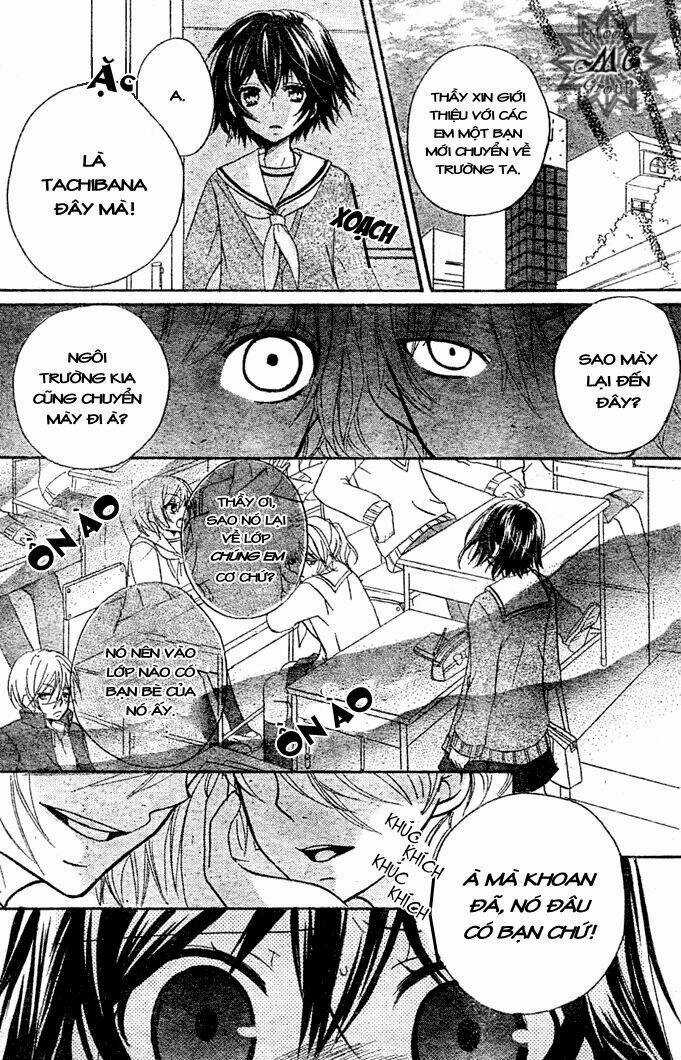 Boyfriend - Namorado Chapter 11 trang 17