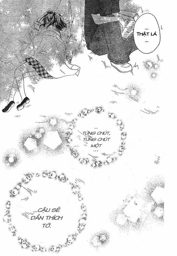 Boyfriend - Namorado Chapter 4 trang 8