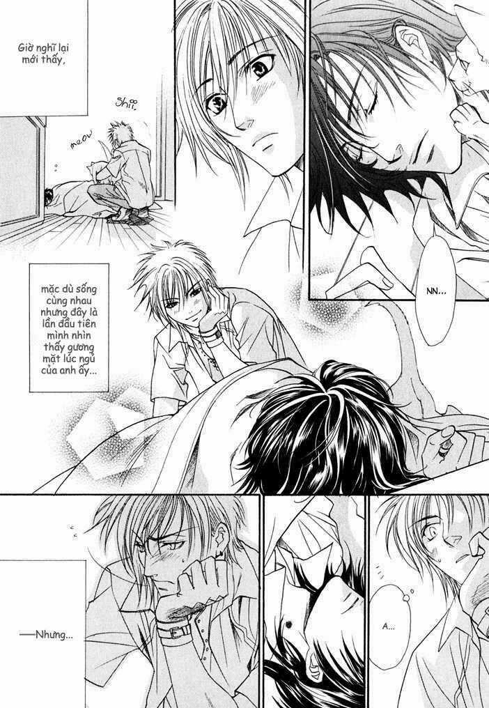 Brother X Brother Chapter 3 trang 8