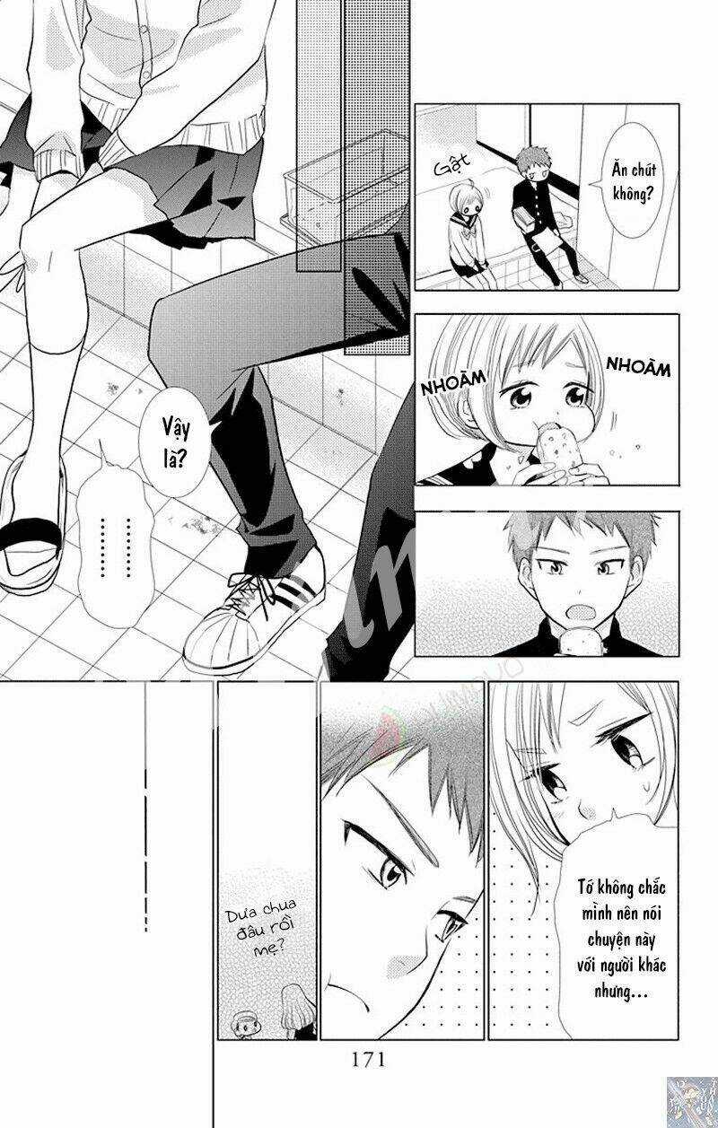 Buổi Xem Mắt Bất Đắc Dĩ Chapter 33 trang 11