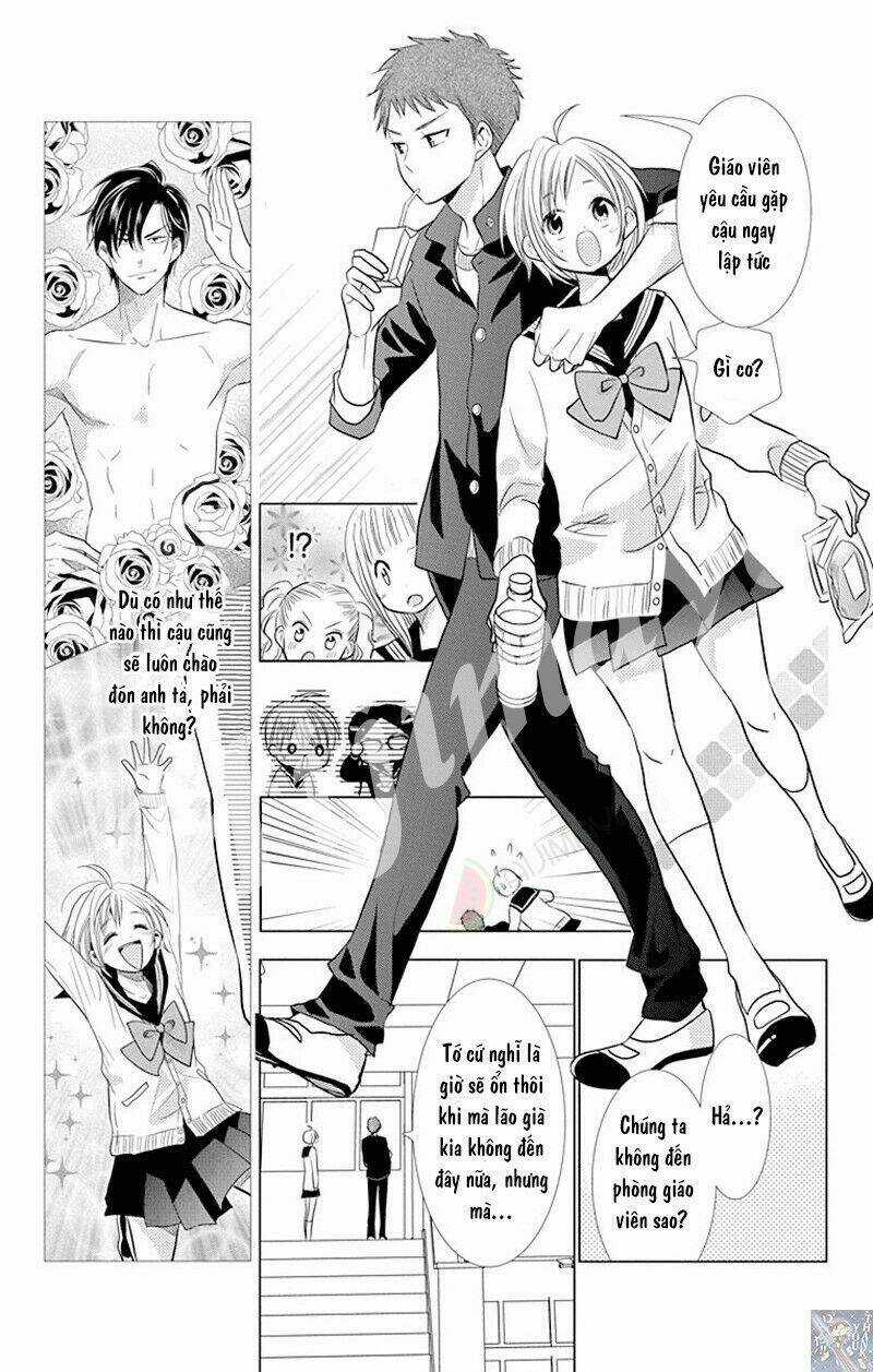 Buổi Xem Mắt Bất Đắc Dĩ Chapter 33 trang 17