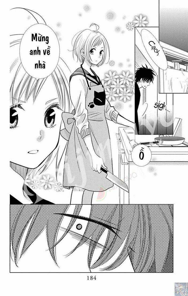 Buổi Xem Mắt Bất Đắc Dĩ Chapter 33 trang 24