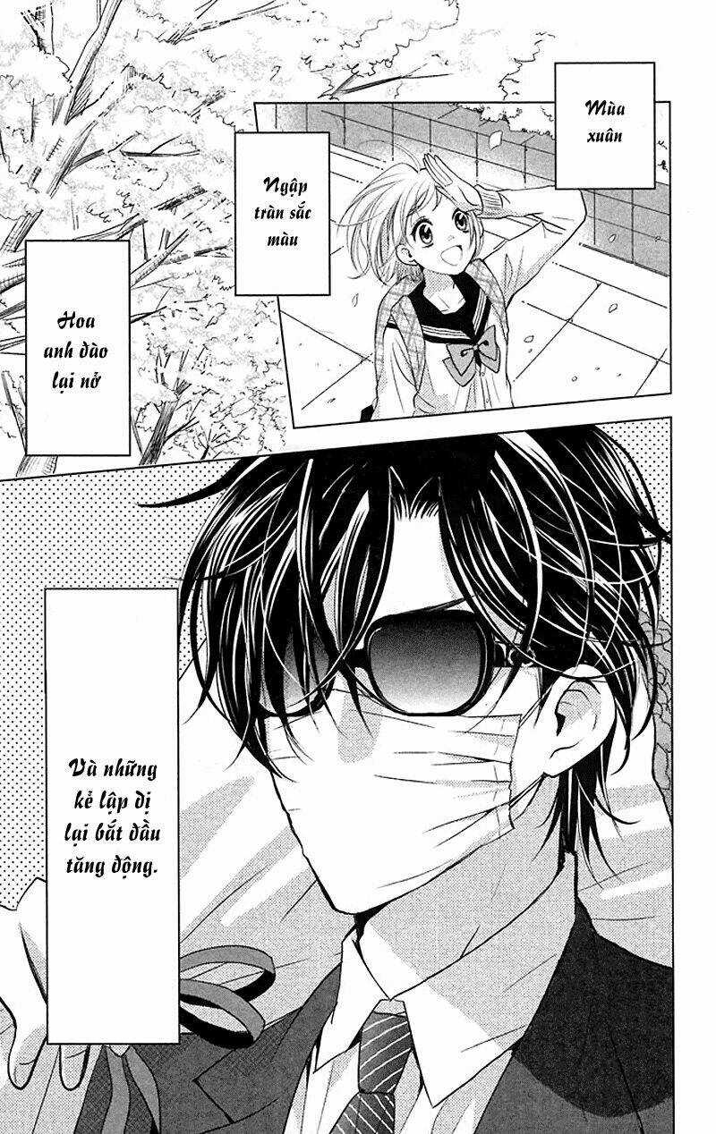 Buổi Xem Mắt Bất Đắc Dĩ Chapter 8 trang 6