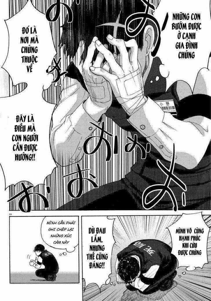 Butterfly Storage Chapter 1 trang 28