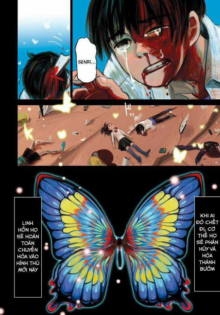 Butterfly Storage Chapter 1 trang 4