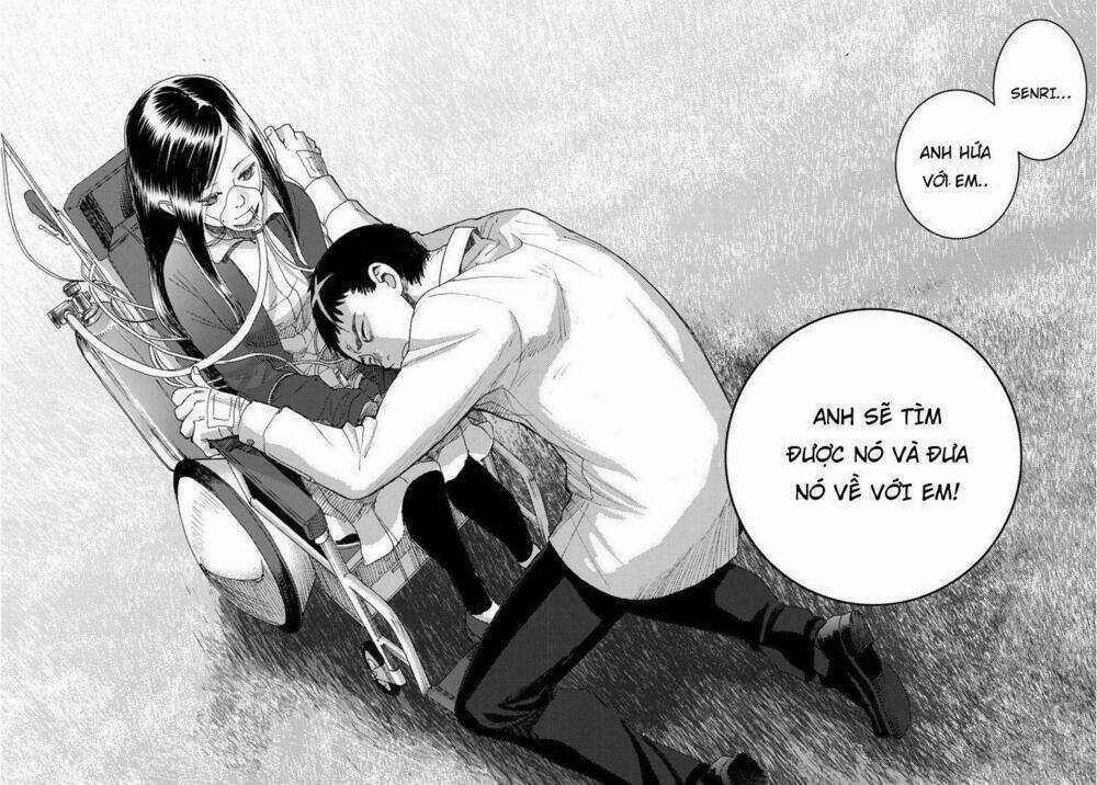 Butterfly Storage Chapter 1 trang 41