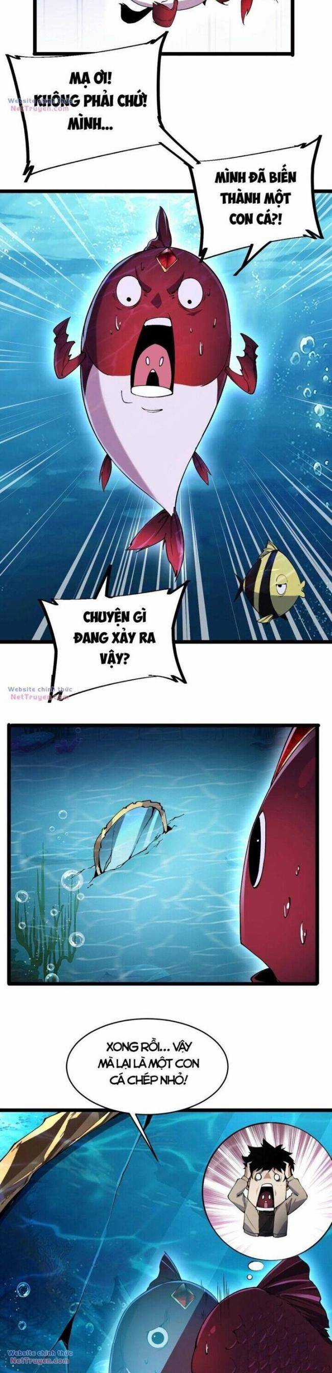 Cá Chép Tiến Hoá Thành Thần Long Chapter 1 trang 17