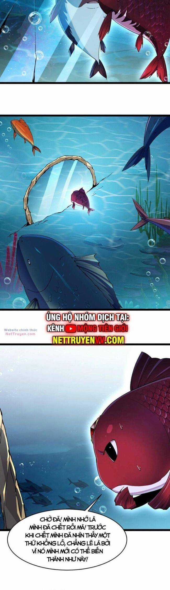 Cá Chép Tiến Hoá Thành Thần Long Chapter 1 trang 18