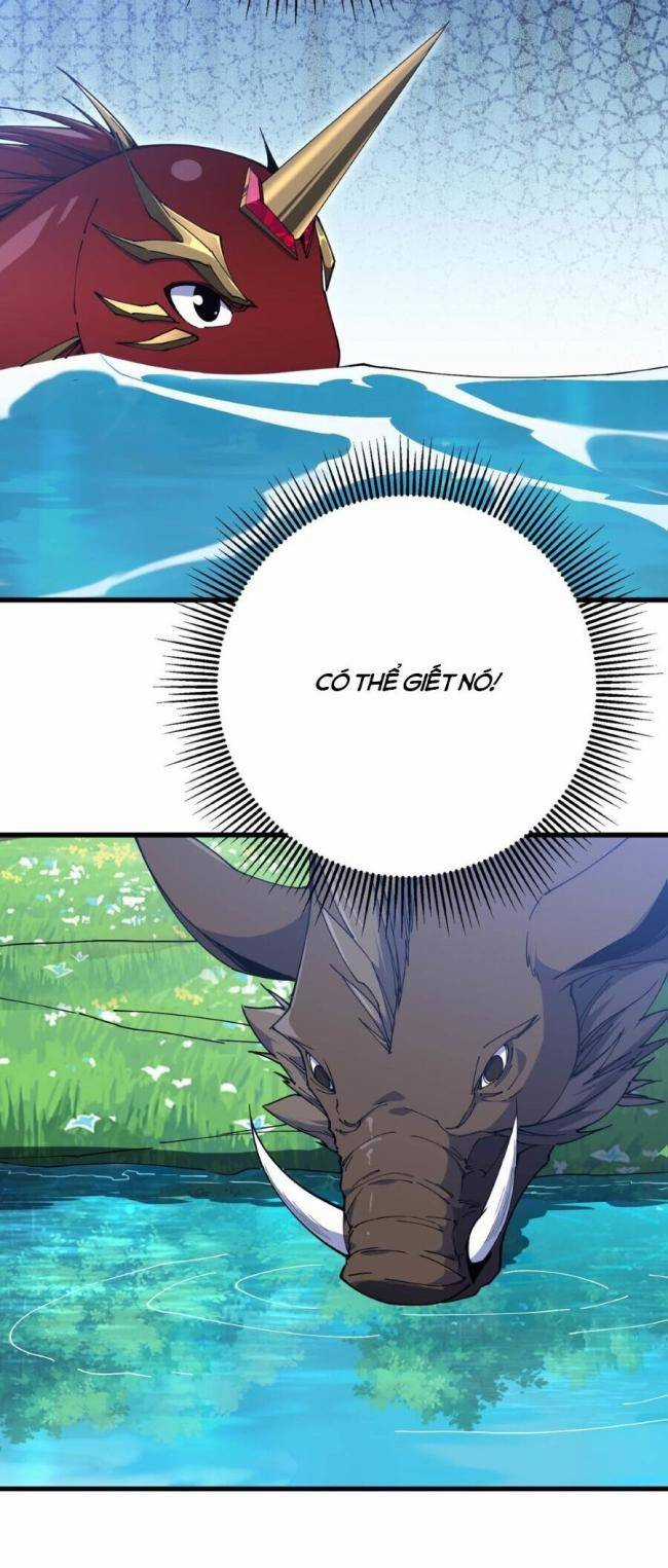 Cá Chép Tiến Hoá Thành Thần Long Chapter 11 trang 16