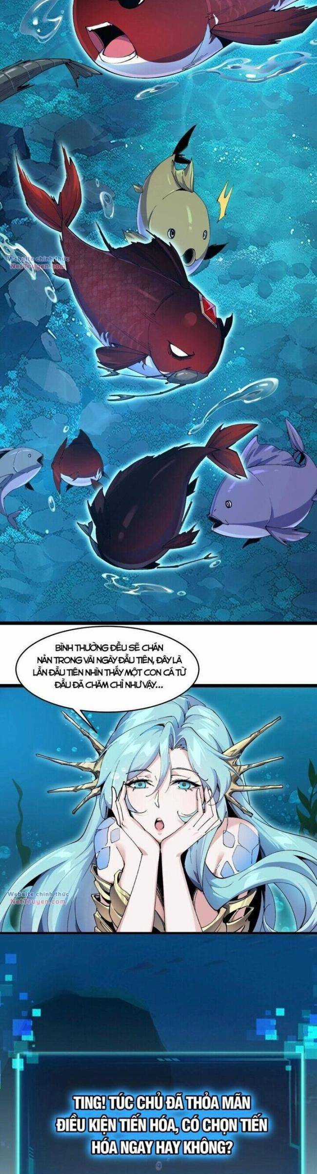 Cá Chép Tiến Hoá Thành Thần Long Chapter 2 trang 17