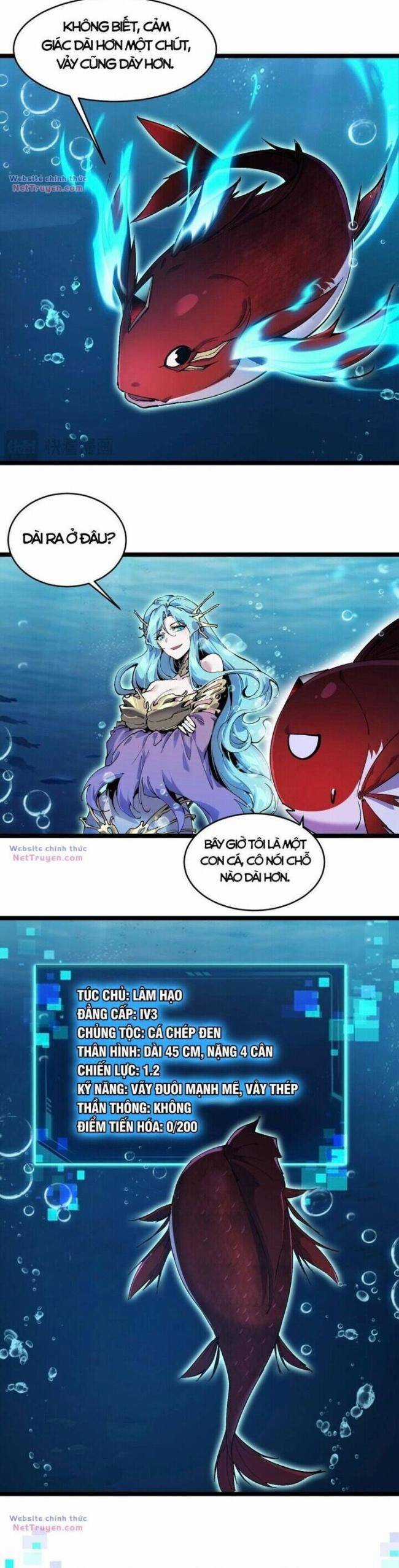 Cá Chép Tiến Hoá Thành Thần Long Chapter 2 trang 21