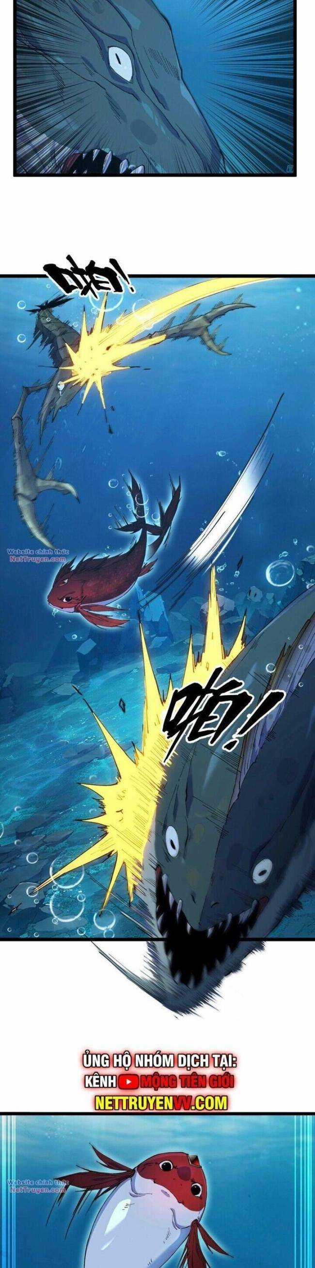 Cá Chép Tiến Hoá Thành Thần Long Chapter 2 trang 24