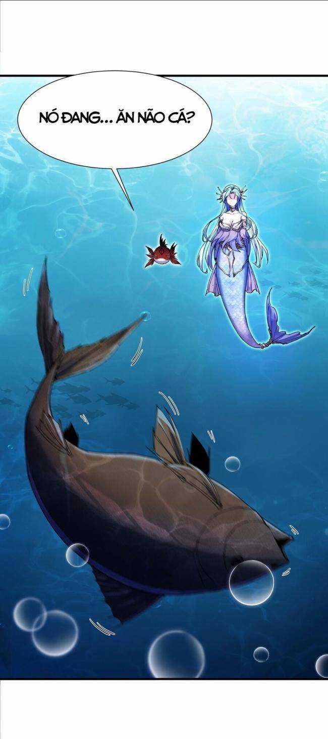 Cá Chép Tiến Hoá Thành Thần Long Chapter 5 trang 2