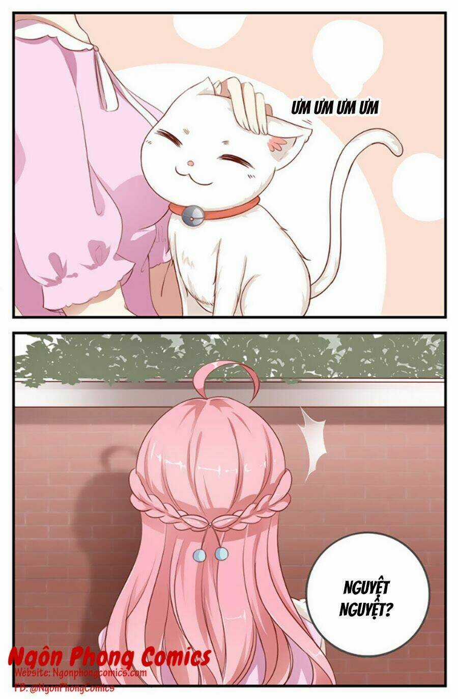 Cả Thế Giới Đều Không Bằng Người Chapter 11 trang 16