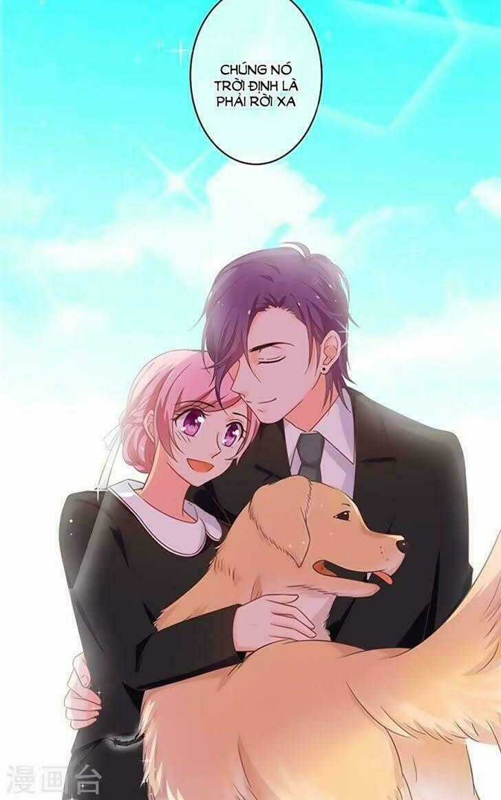 Cả Thế Giới Đều Không Bằng Người Chapter 97 trang 16