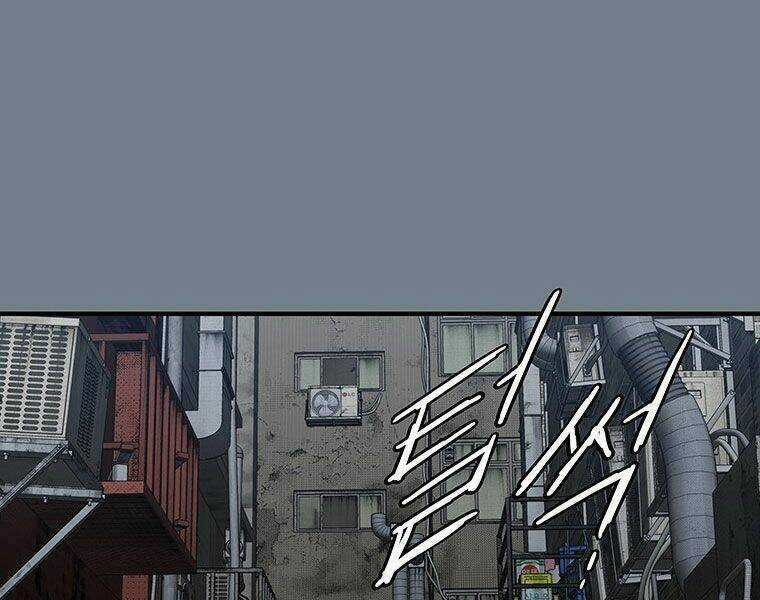 Các Chòm Sao Chỉ Chú Ý Mình Tôi Chapter 13 trang 237