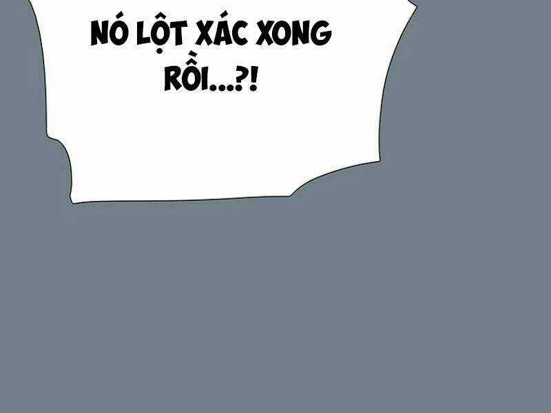 Các Chòm Sao Chỉ Chú Ý Mình Tôi Chapter 9 trang 254