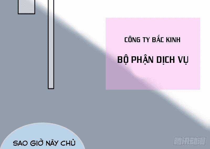 Các Cô Gái Tai Thú Đều Muốn Độc Chiếm Tôi Chapter 15 trang 63