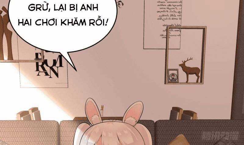 Các Cô Gái Tai Thú Đều Muốn Độc Chiếm Tôi Chapter 16 trang 63