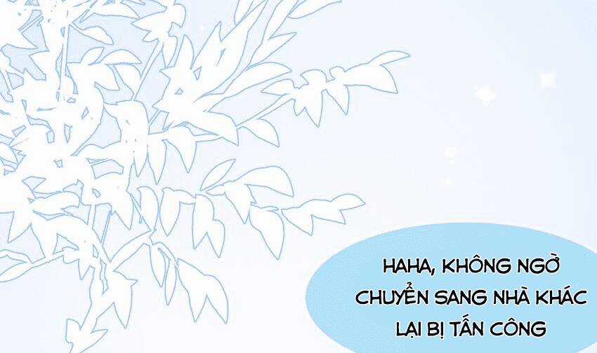 Các Cô Gái Tai Thú Đều Muốn Độc Chiếm Tôi Chapter 25 trang 70