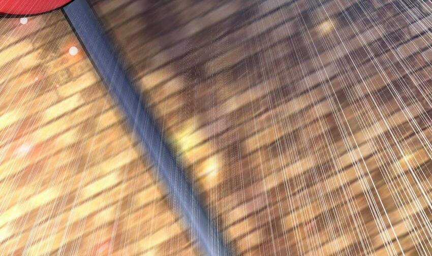 Các Cô Gái Tai Thú Đều Muốn Độc Chiếm Tôi Chapter 29 trang 54