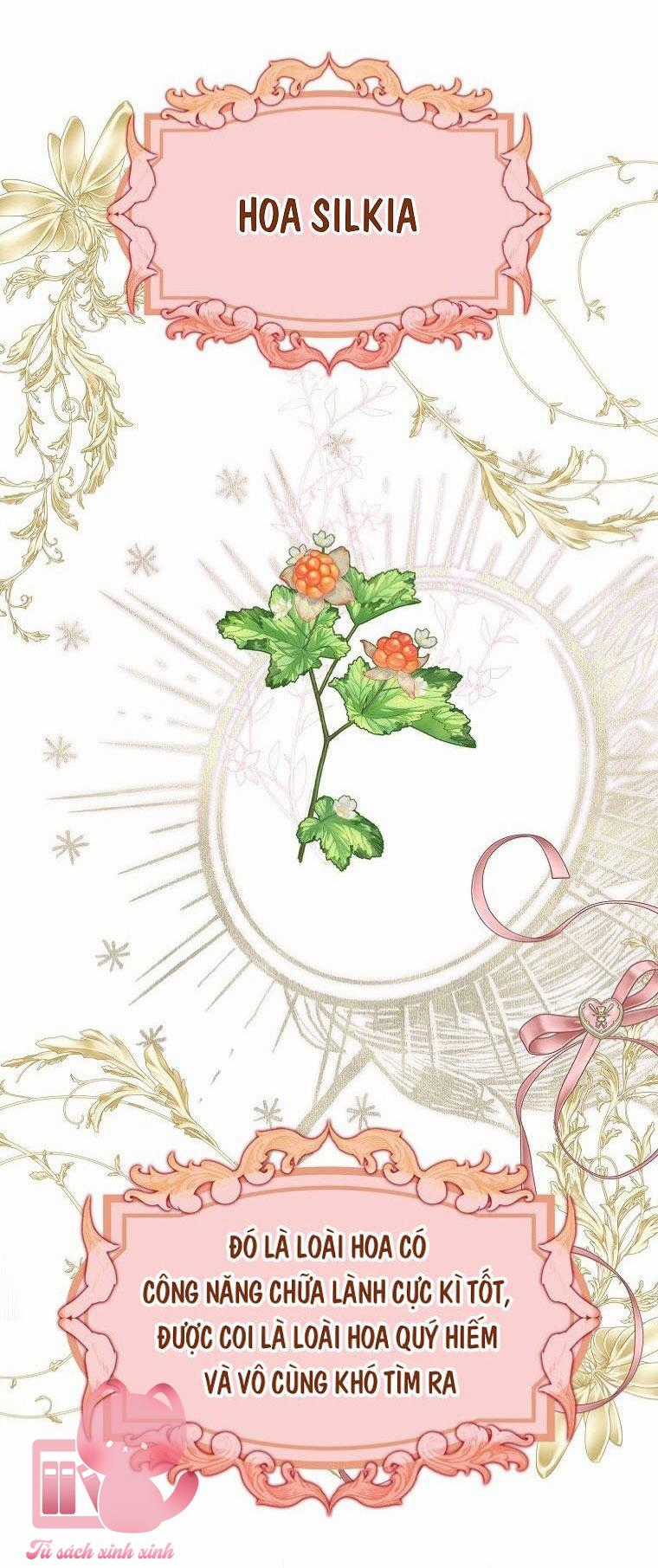 Các Nam Chính Đã Bị Nữ Phụ Cướp Mất Chapter 3 trang 15