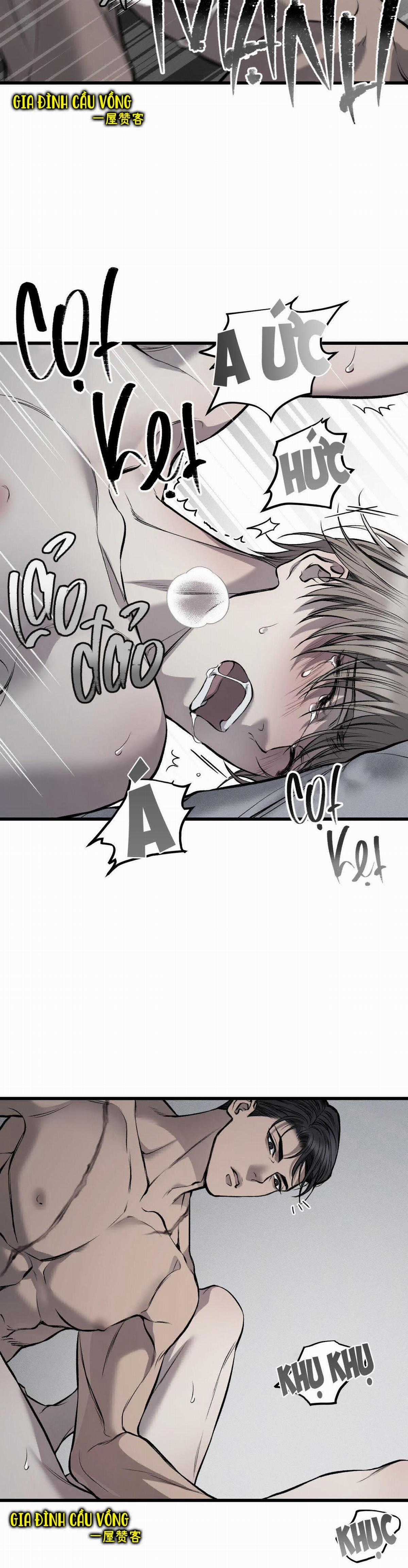 Các Nam Chính Đã Bị Nữ Phụ Cướp Mất Chapter 7 trang 14