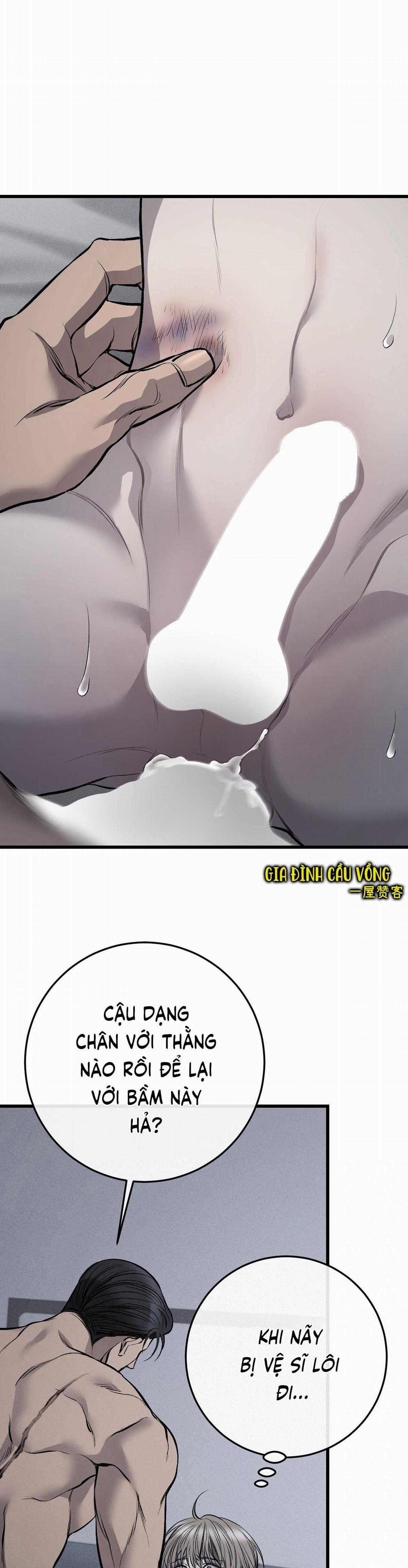 Các Nam Chính Đã Bị Nữ Phụ Cướp Mất Chapter 7 trang 15