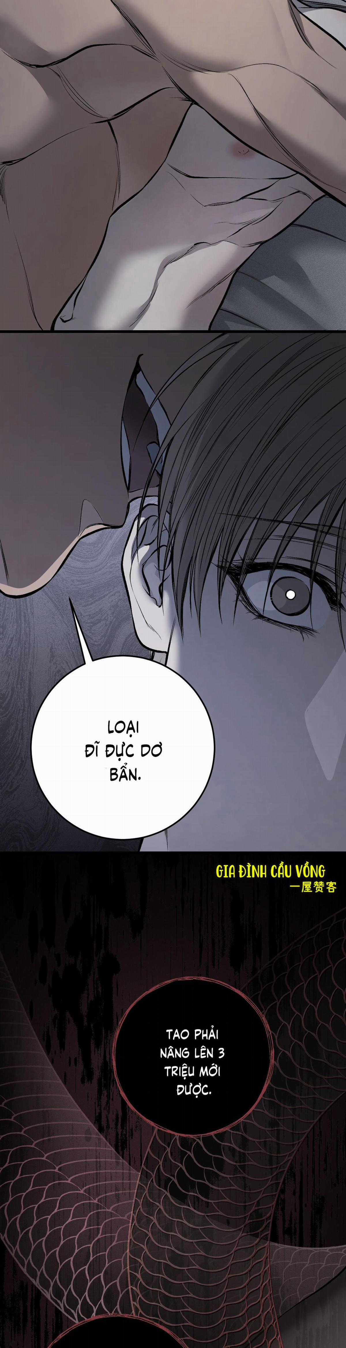 Các Nam Chính Đã Bị Nữ Phụ Cướp Mất Chapter 7 trang 17