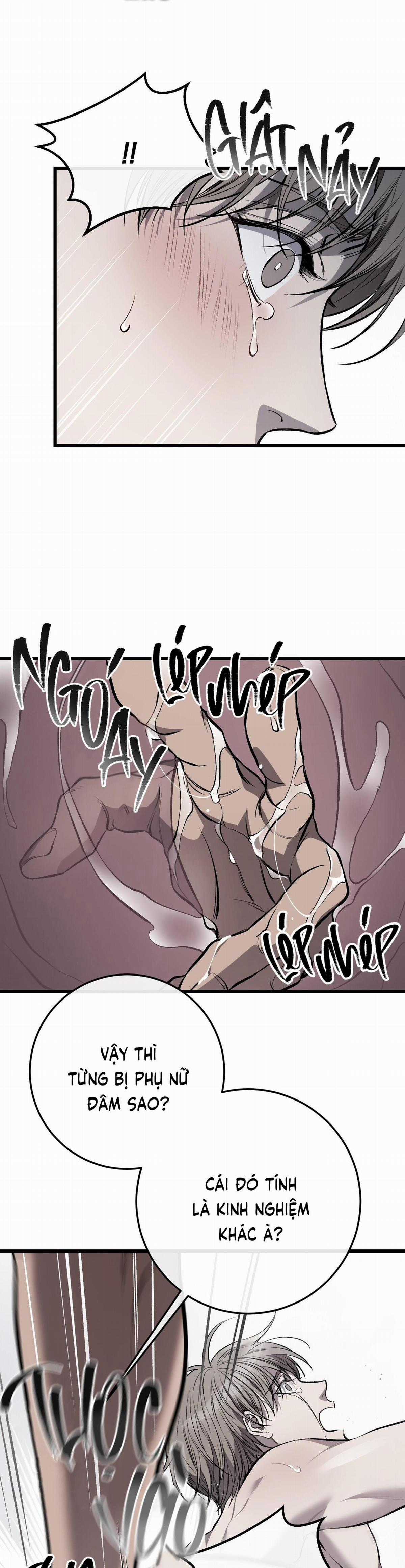 Các Nam Chính Đã Bị Nữ Phụ Cướp Mất Chapter 7 trang 27