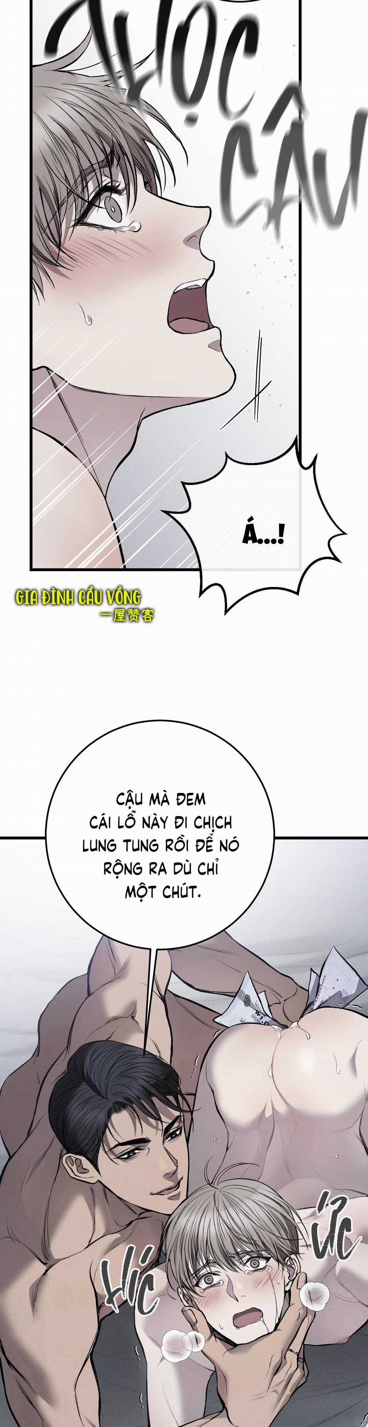 Các Nam Chính Đã Bị Nữ Phụ Cướp Mất Chapter 7 trang 30