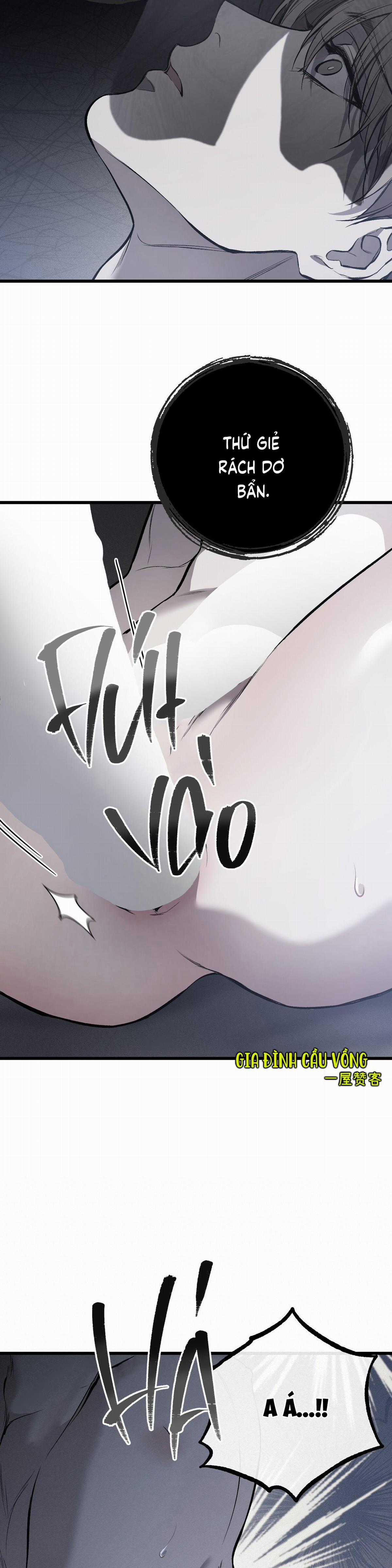 Các Nam Chính Đã Bị Nữ Phụ Cướp Mất Chapter 7 trang 5