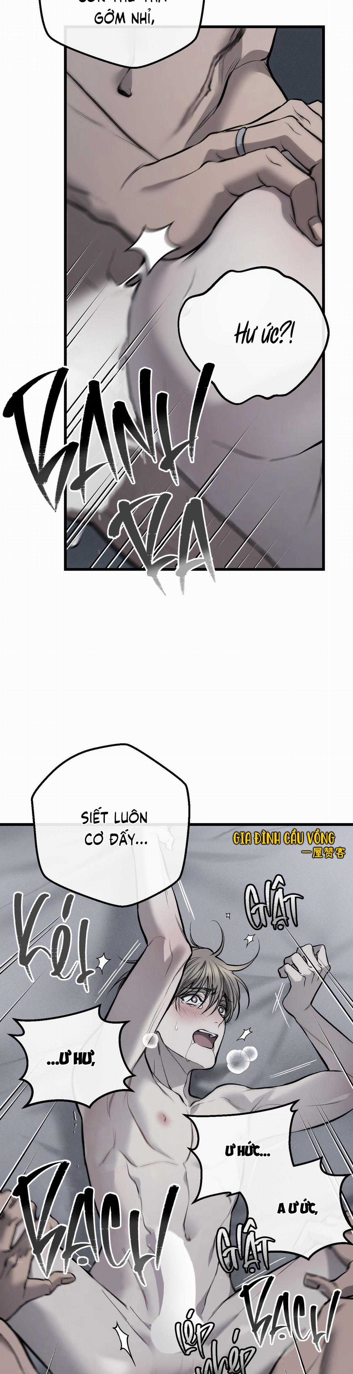 Các Nam Chính Đã Bị Nữ Phụ Cướp Mất Chapter 7 trang 8