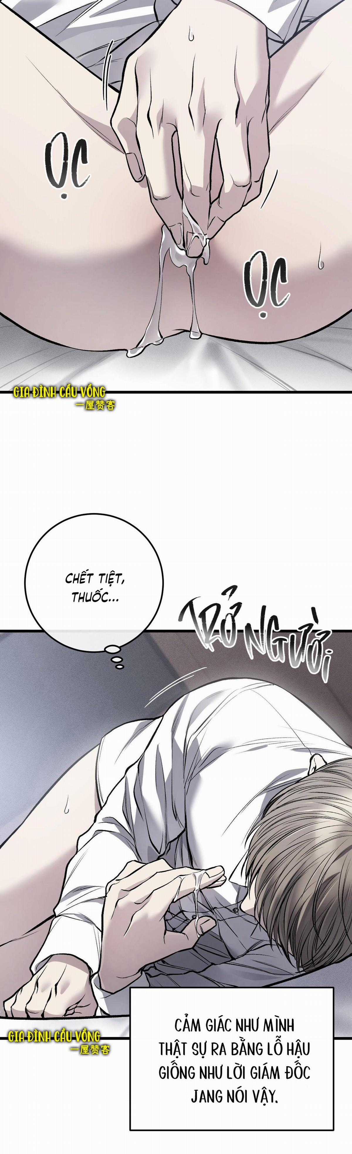 Các Nam Chính Đã Bị Nữ Phụ Cướp Mất Chapter 8 trang 11