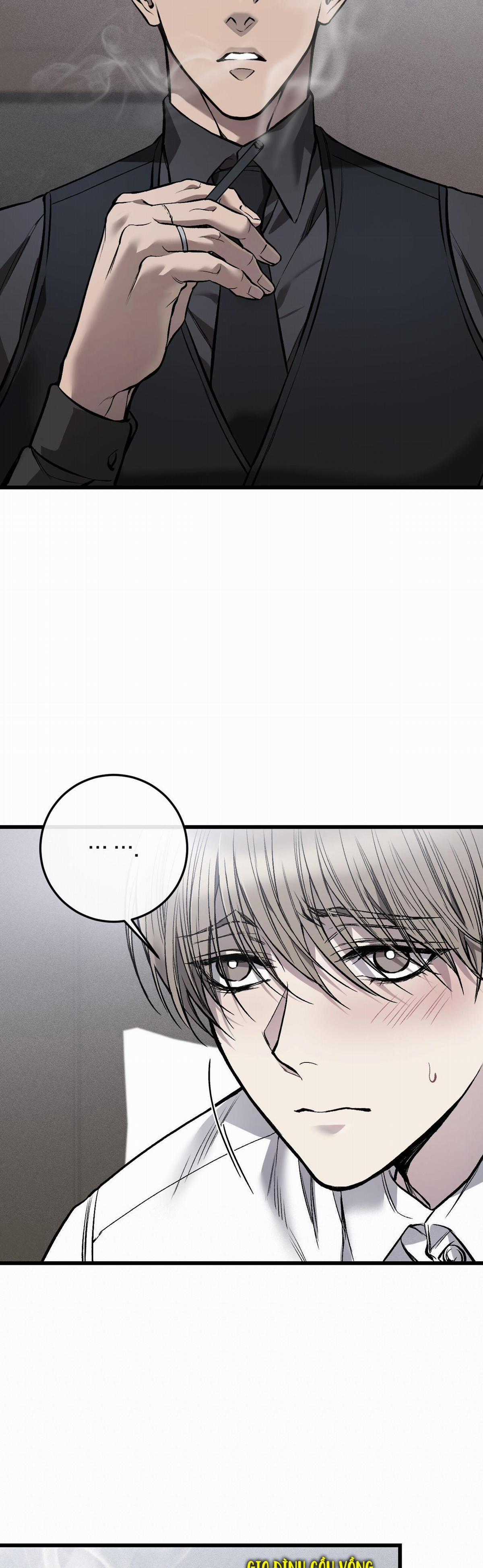 Các Nam Chính Đã Bị Nữ Phụ Cướp Mất Chapter 8 trang 17