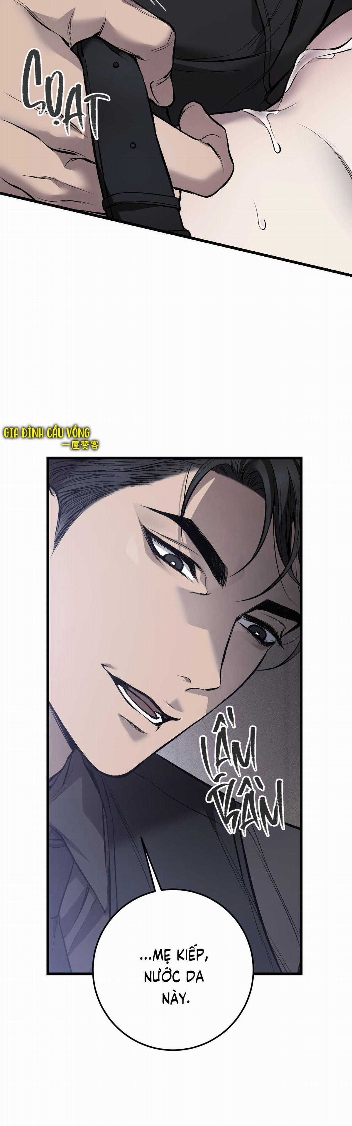 Các Nam Chính Đã Bị Nữ Phụ Cướp Mất Chapter 8 trang 25