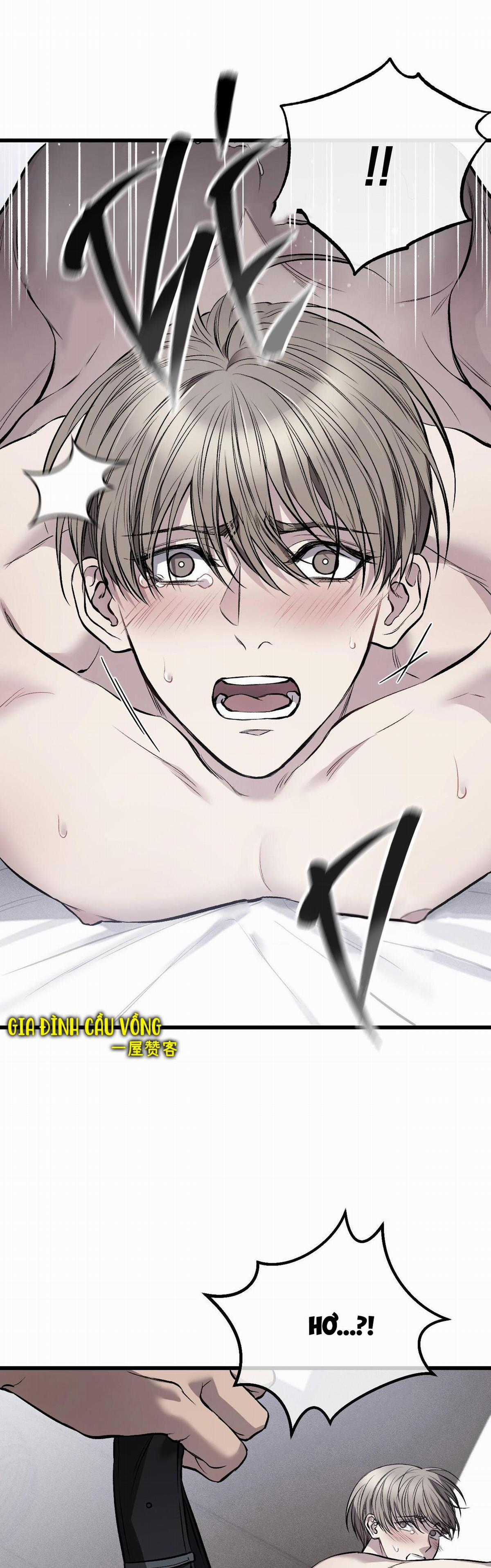 Các Nam Chính Đã Bị Nữ Phụ Cướp Mất Chapter 8 trang 26