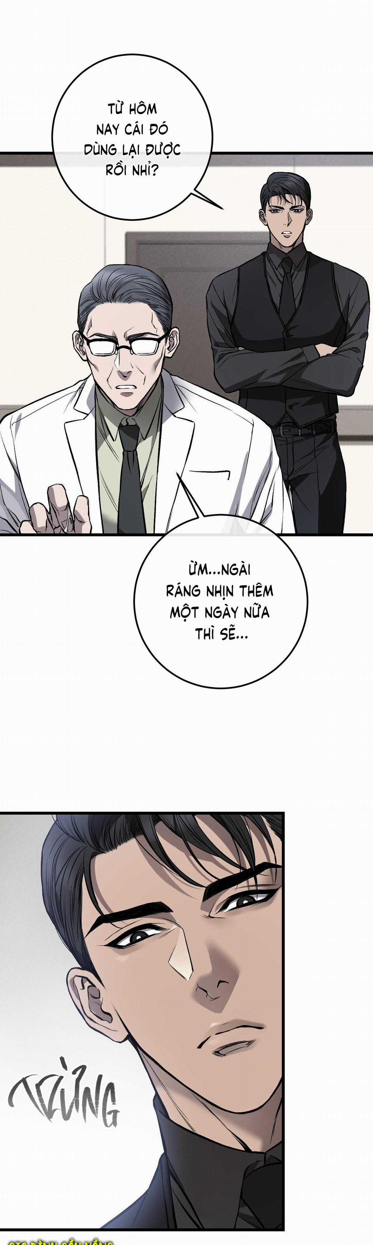 Các Nam Chính Đã Bị Nữ Phụ Cướp Mất Chapter 8 trang 3