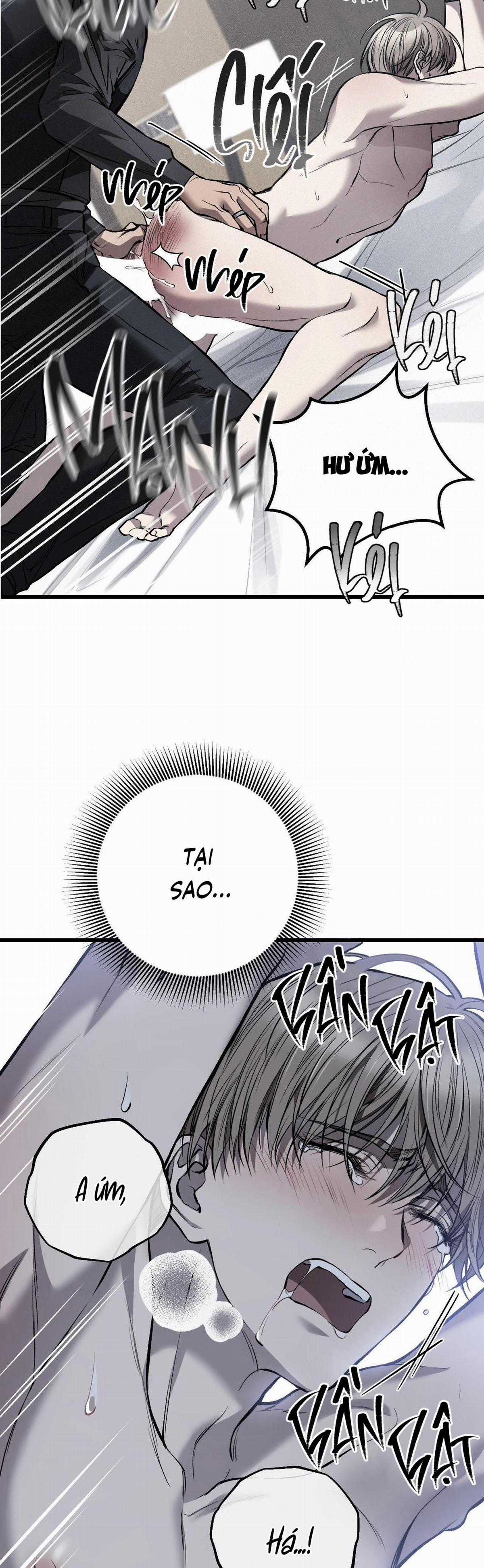 Các Nam Chính Đã Bị Nữ Phụ Cướp Mất Chapter 8 trang 35